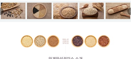실속형-홈페이지-포트폴리오