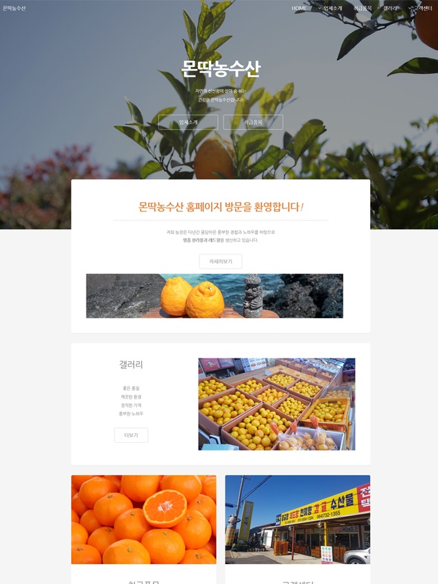 실속형-홈페이지-포트폴리오